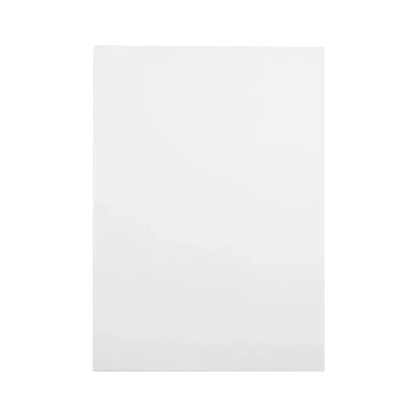 Ecosun E1000K infrarood paneel plafond en wand 120x85cm 1000W