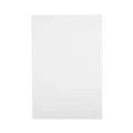 Ecosun E850K infrarood paneel plafond en wand 120x80cm 850W