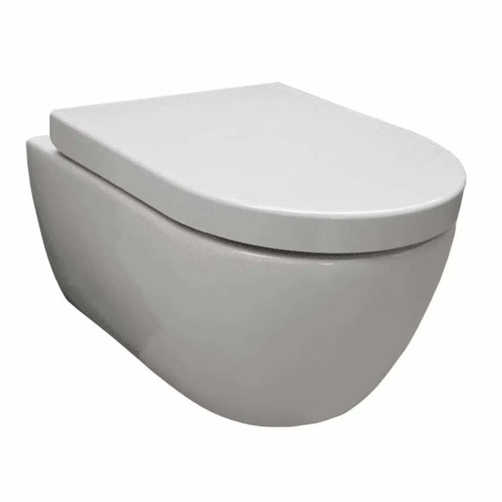 Saniful Wandcloset Rimfree compact met softclose zitting